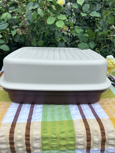 Vintage retro tupperware bread - vintage,